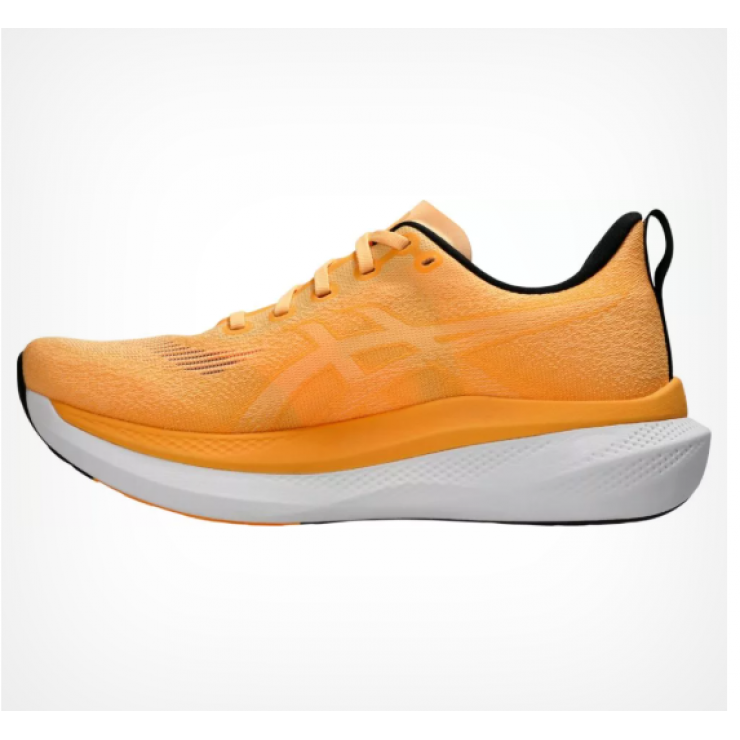 Asics Glideride Max2