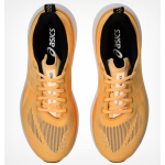 Asics Glideride Max2