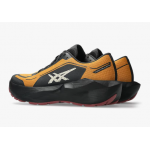 Asics Novablast  6 GTX