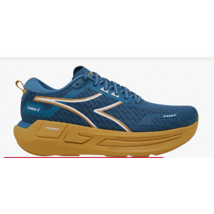 DIADORA  CELLULA 2 M Colonial / blue harvest