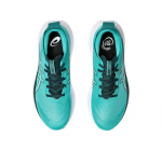 Asics Nimbus 27
